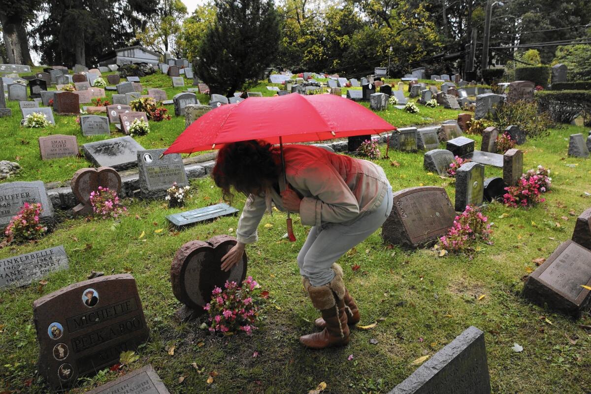 Tweet of the dead: The celebrities who keep posting from beyond the grave