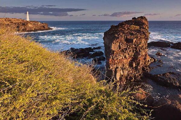 Larry Ellison owns 98% of Lanai, including two resorts and two golf courses with clubhouses. Now he owns a regional airline to get him there. More: Billionaire Larry Ellison buys a chunk of Hawaii