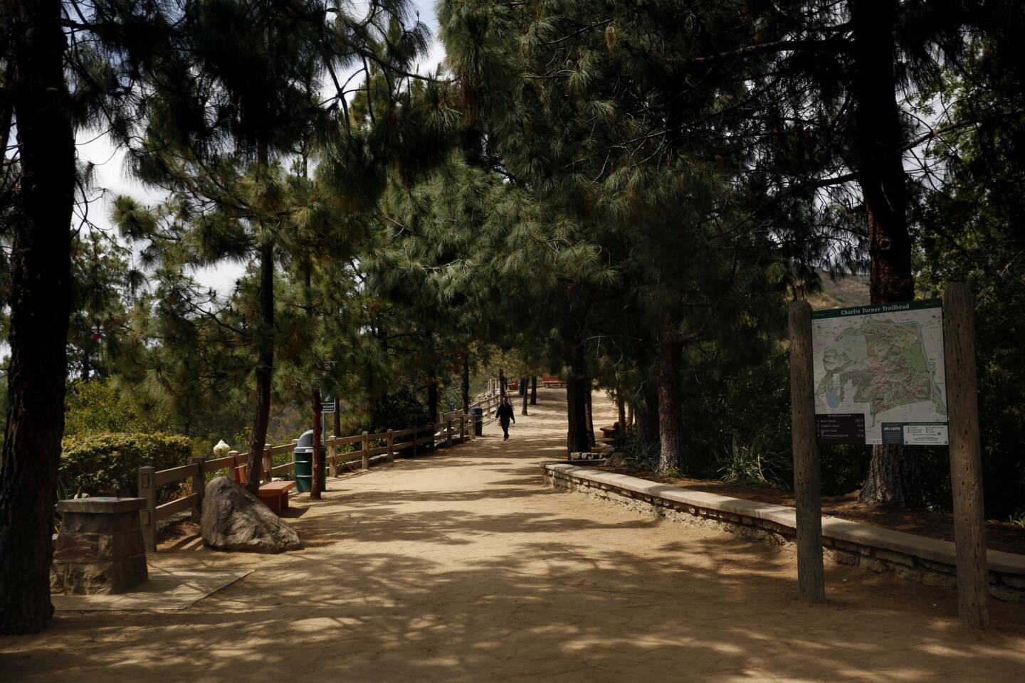 L.A. Walks: Dante's View in Griffith Park