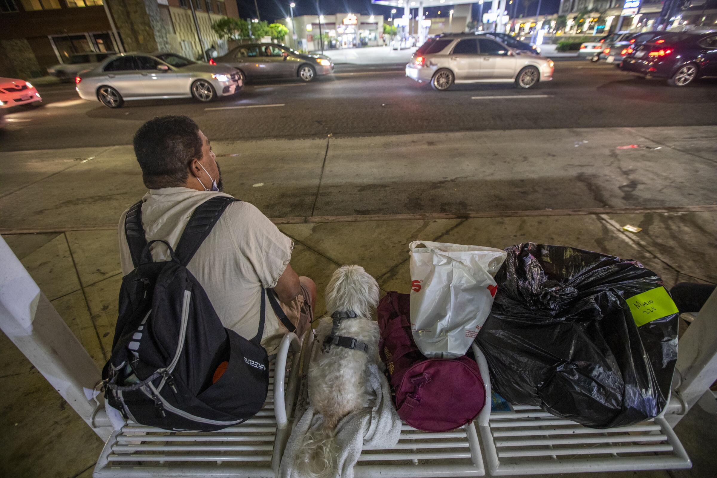 A man sits on a bus bench with his dog and belongings.