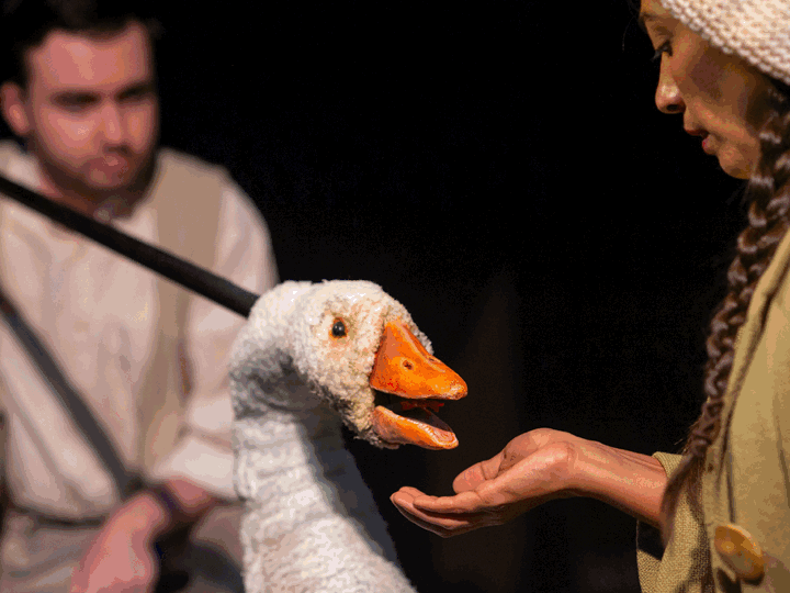 A carousel of pictures, including a woman holding out her hand to a goose, a group of dancers and two men.