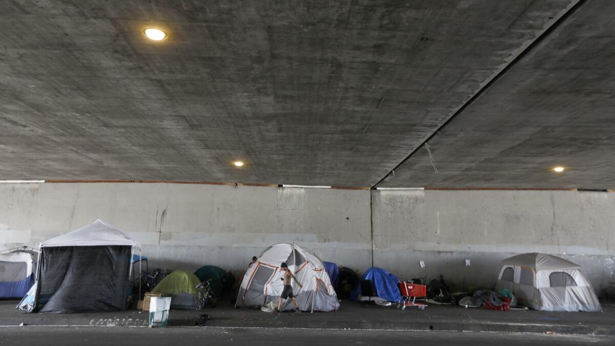 People sleep in tents along Venice Boulevard under the 405 Freeway in Los Angeles.