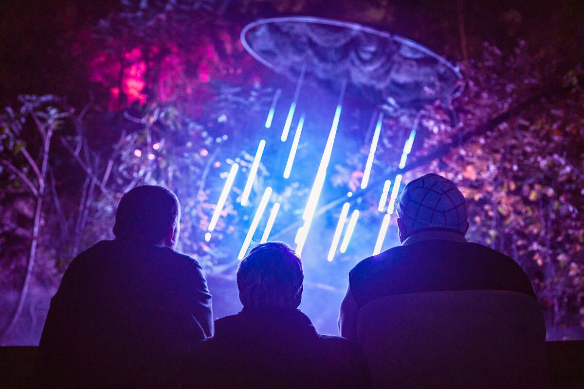 Three guests look up at beams of light in a dark garden 