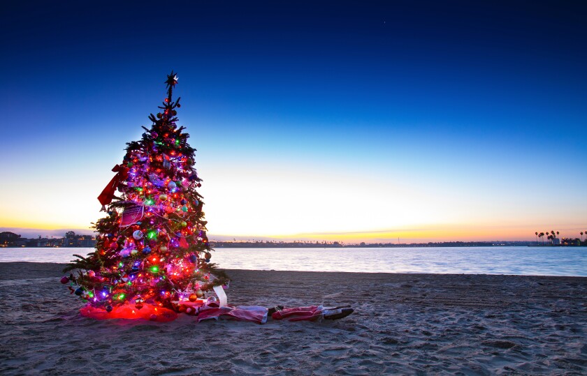 Un árbol de Navidad en la arena de Pacific Beach.