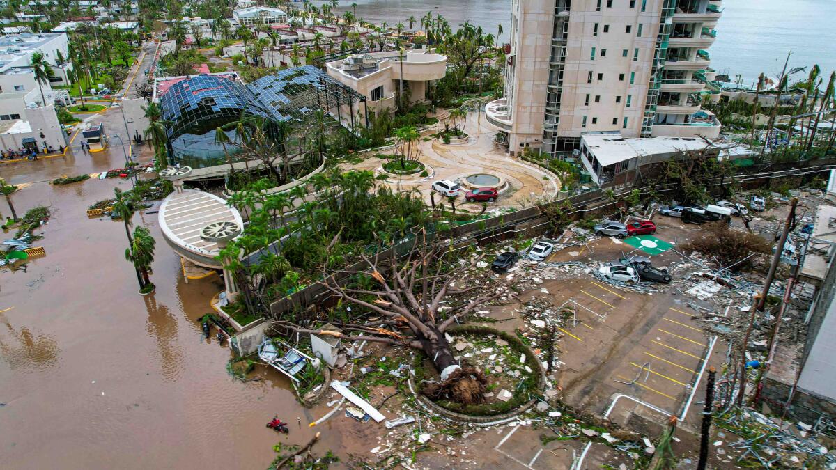 An aerial view of large tree felled by the wind next to muddy waters and hotels