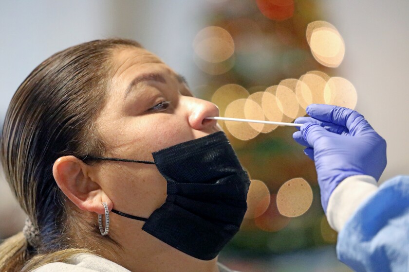 A woman tilts her head back as a swab is applied to her nostril