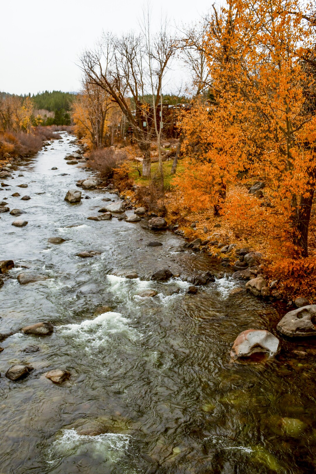 The Truckee River, sporting fall color, runs through downtown Truckee.