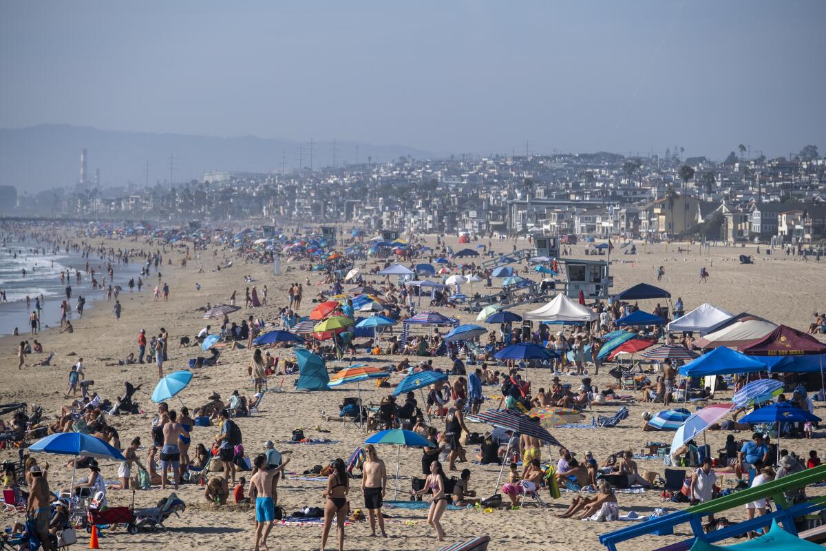 A beach is crowded with people in the water, on towels and under umbrellas.