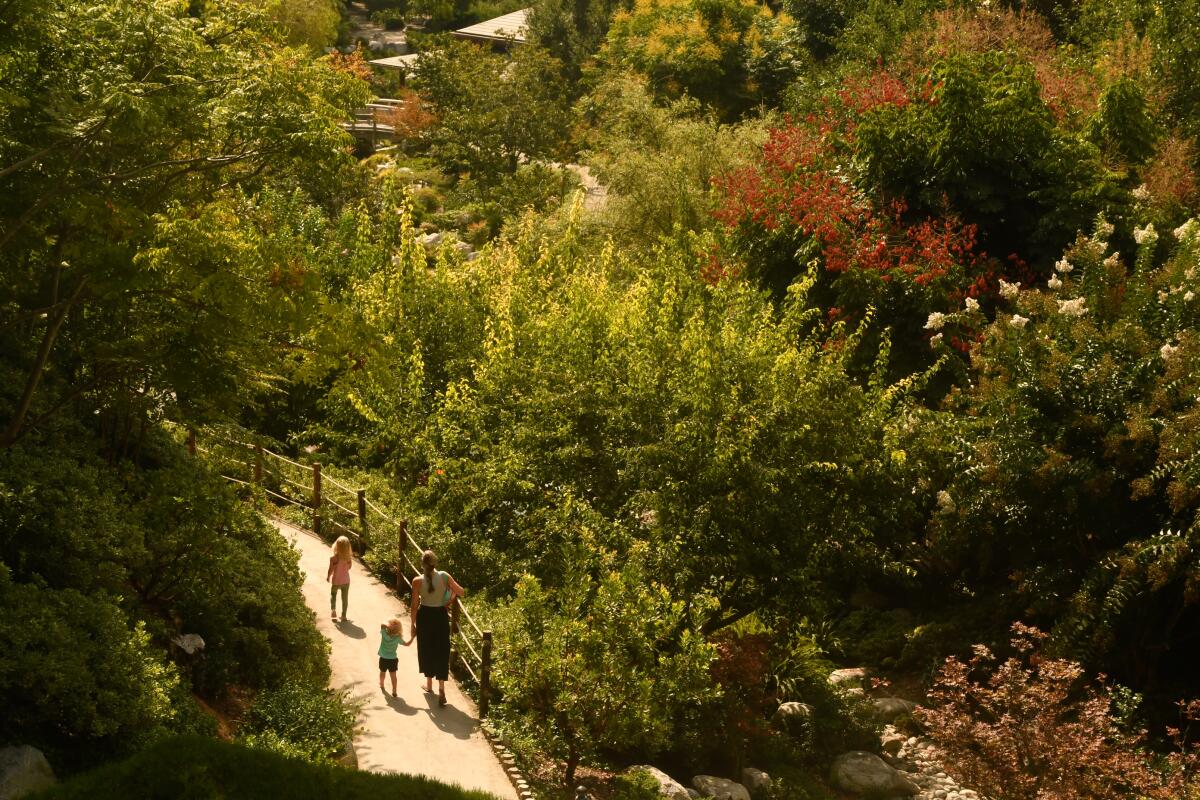 Japanese Friendship Garden in Balboa Park