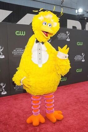 By Patrick Kevin Day The best decision of the evening was to let the residents of Sesame Street walk the red carpet. If only Big Bird had a reason to attend the Oscars... Daytime Emmy arrivals 'Bold' wins at the Daytime Emmys