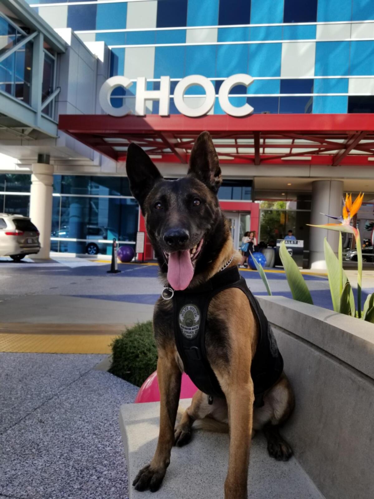 Marco poses in front of the Children's Health of Orange County hospital on Nov. 14, 2017. 