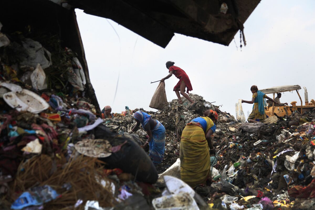 Rag pickers, as they are called, scavenge for food and recyclable materials at New Delhi's 70-acre, 100-foot-high Ghazipur landfill. ( Rick Loomis / Los Angeles Times )