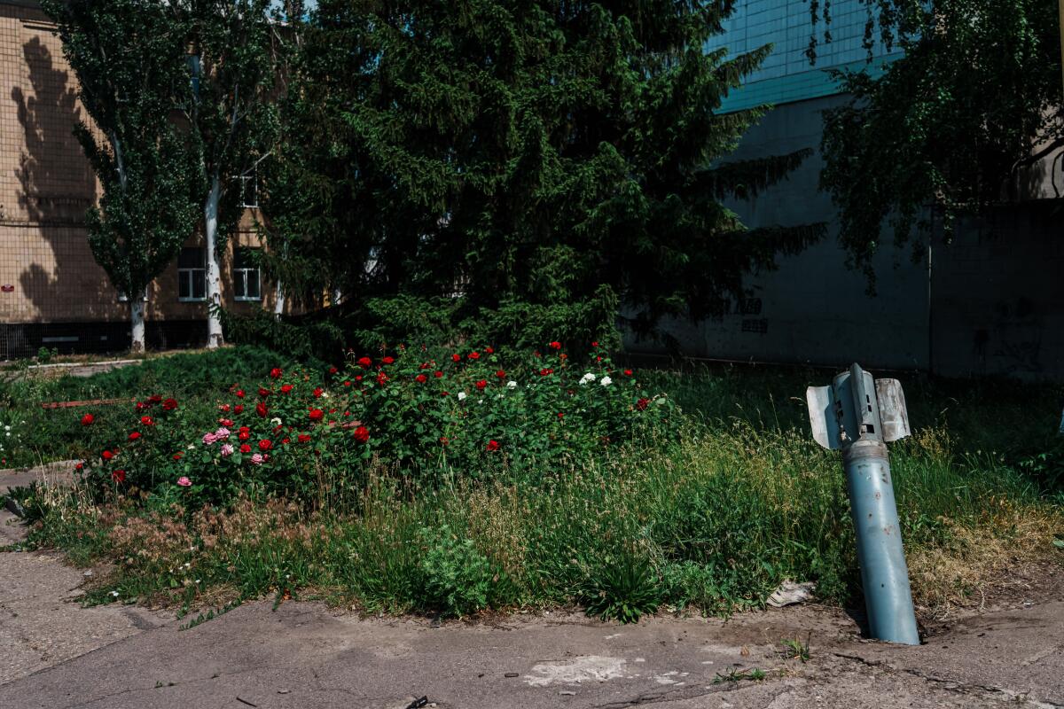 A flower garden and an unexploded rocket.