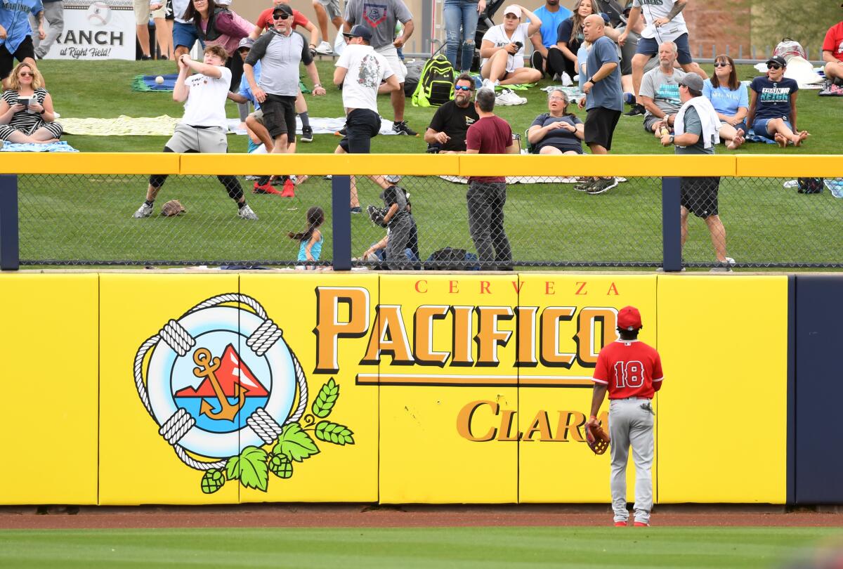 A young fan attempts to catch a home run ball hit by Seattle Mariners' Jose Marmolejos as Angels' Brian Goodwin looks on during the second inning of a spring training game at Peoria Stadium on Tuesday in Peoria, Ariz.