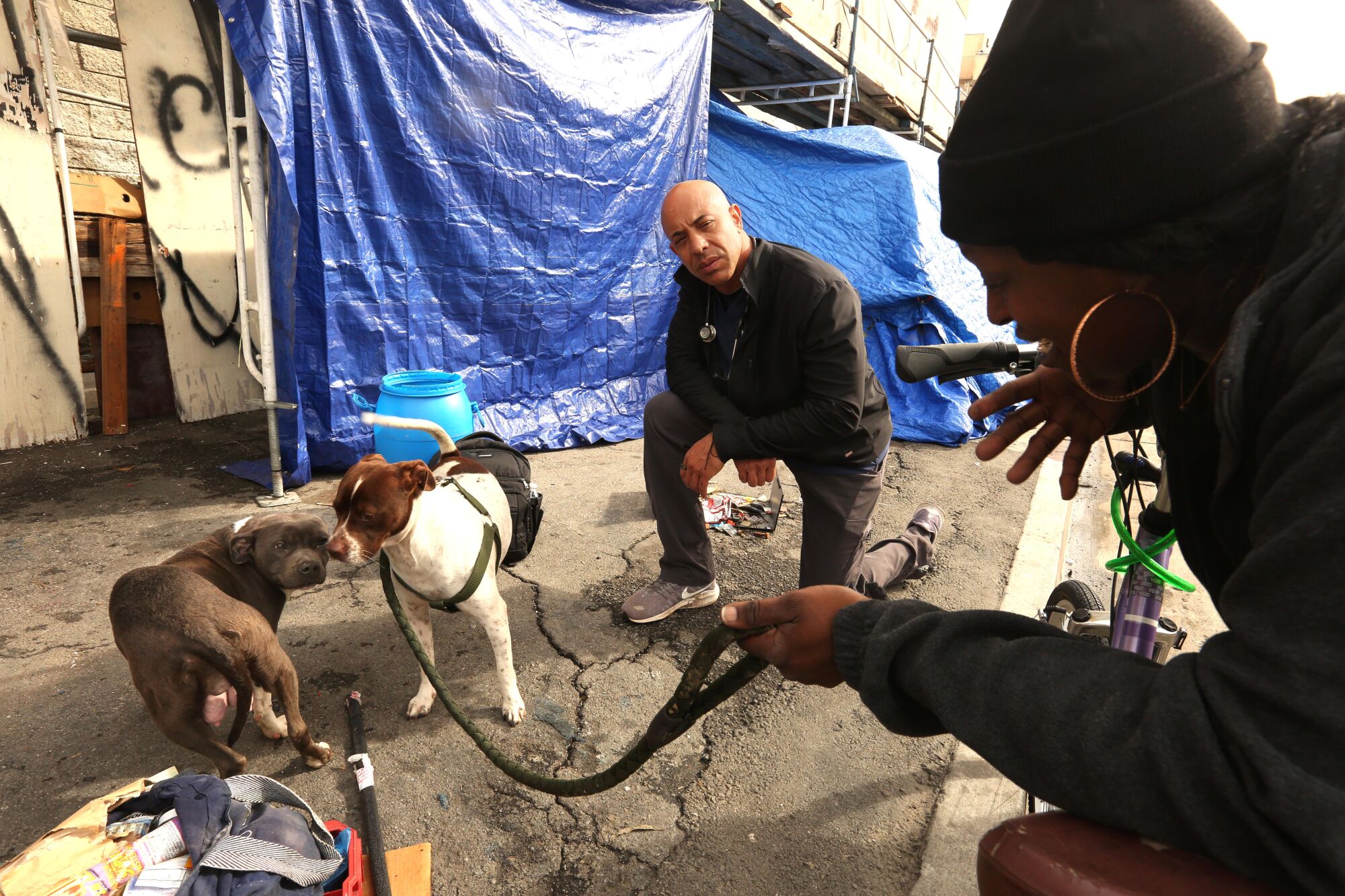 How the Street Vet came to care for homeless pets - Los Angeles Times How the Street Vet came to care for homeless pets - Los Angeles Times