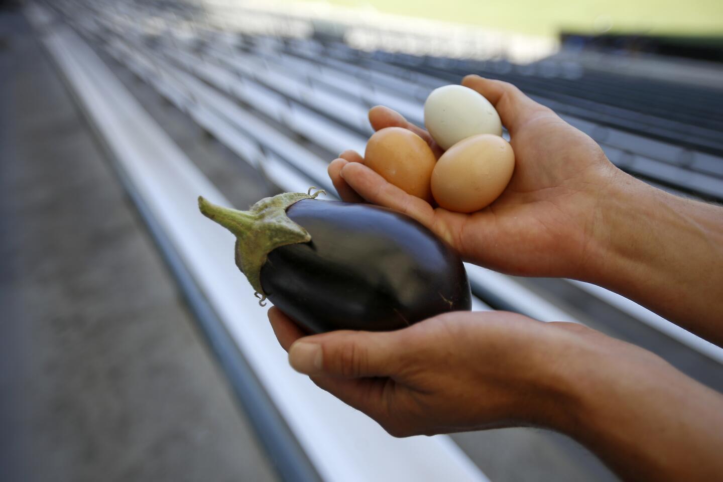 The Galaxy, L.A.'s soccer team, grows its own vegetables