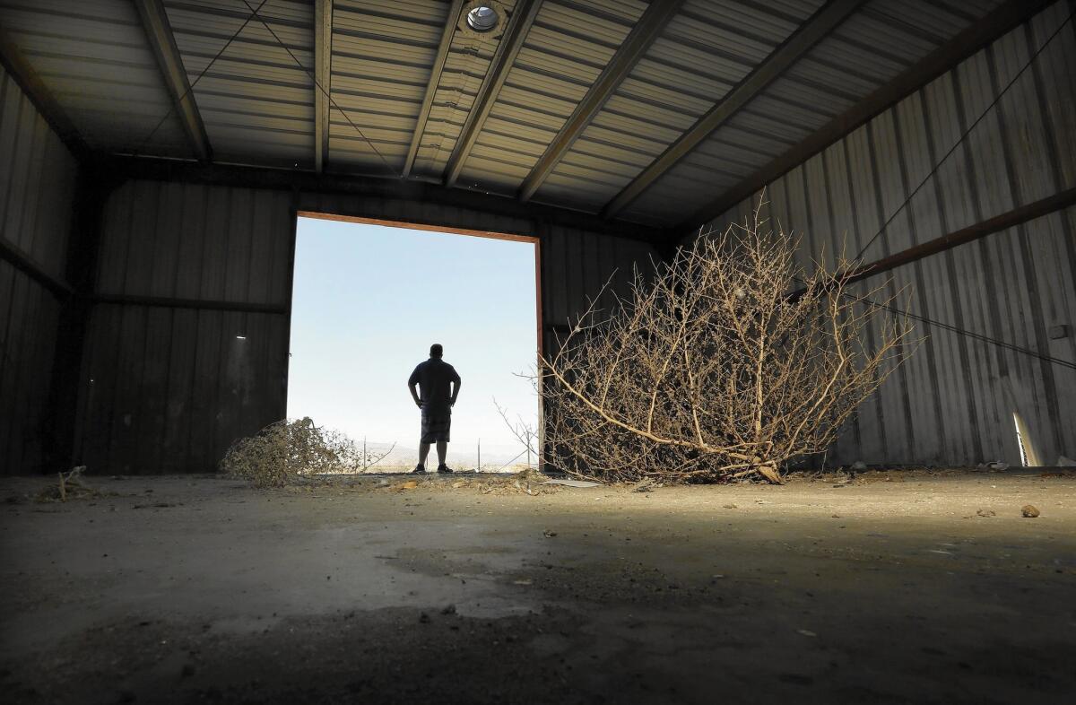 Jason Elsasser surveys his property from the doorway of an empty steel shell building in Desert Hot Springs. Elsasser plans to build a 2-acre pot operation in town. "This is going to be all built out into a high-tech, 40-light grow right here," he says.