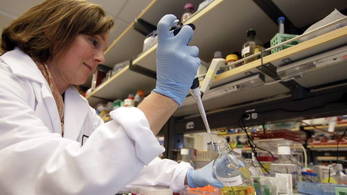 Terry Storm, shown in 2012, works in a Stanford University lab funded by the California stem cell program, which will soon come to the end of its $3 billion in state funding.