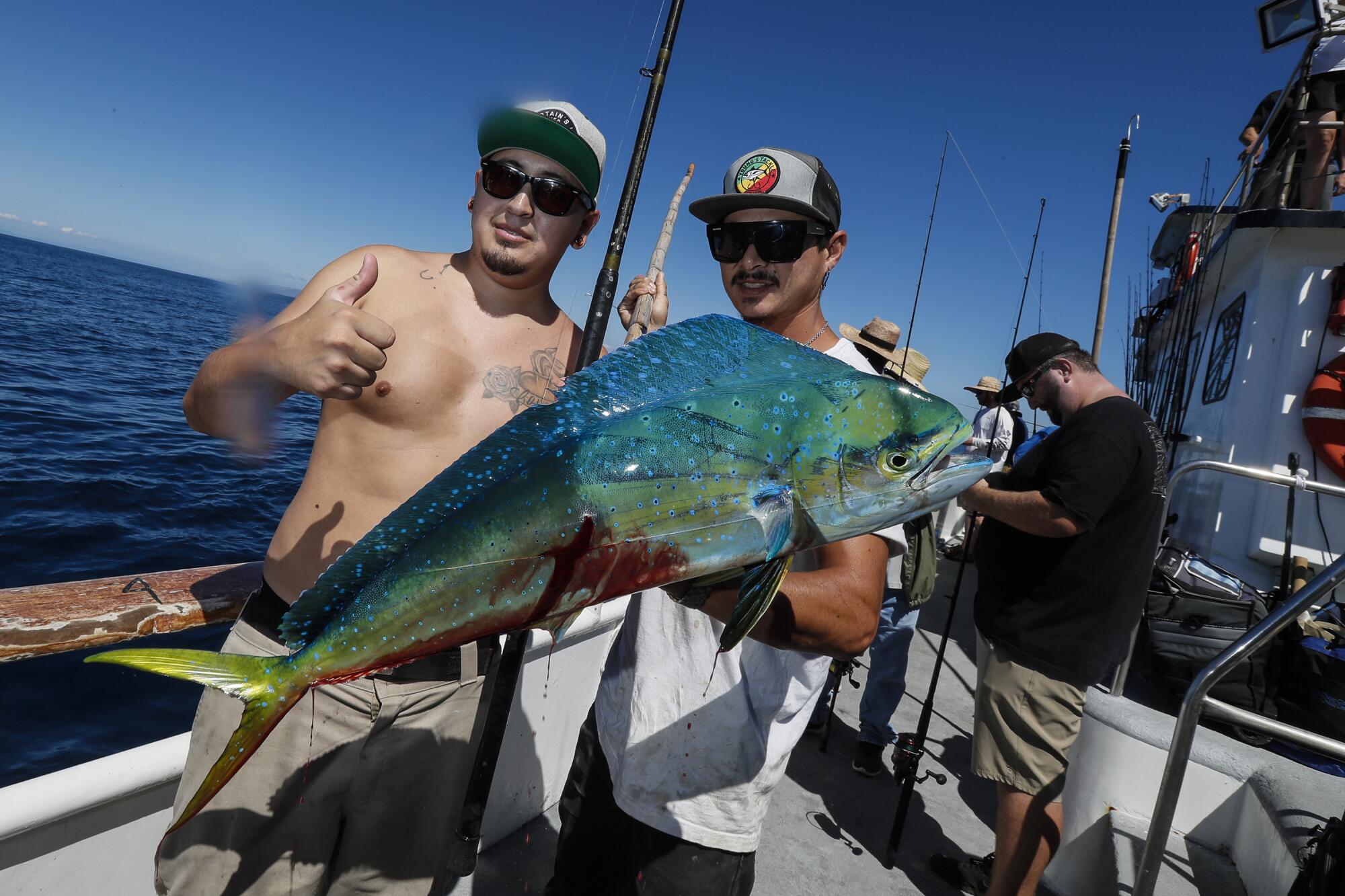 They leaped at the chance to hook mahi-mahi. But L.A.'s hottest fish is  hard to catch - Los Angeles Times