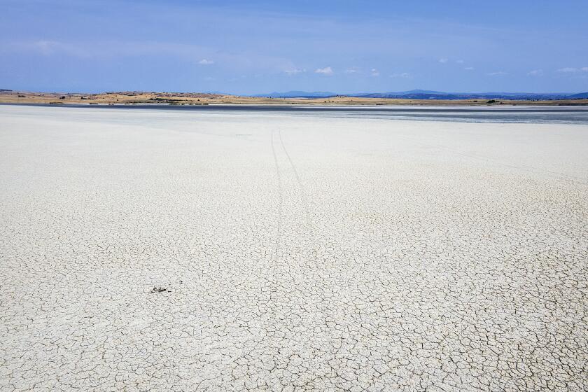 Vista del lecho del lago Picrolimni, ahora seco, en Mikrokampos, en el norte de Grecia, el 19 de agosto de 2024. En el norte de Grecia, una grave sequía, acentuada por sucesivas olas de calor y el descenso de las precipitaciones, está causando una escasez de agua que a su vez amenaza a la agricultura, seca lagos y aumenta la presión sobre las comunidades locales que dependen del turismo. (AP Foto/Giannis Papanikos)