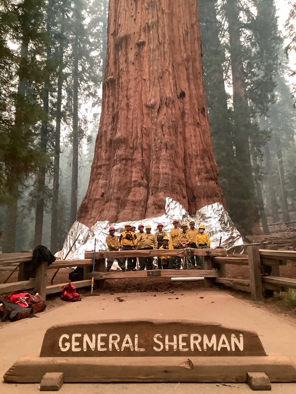 Sequoia National Park's General Sherman tree, one of largest in the world, still safe amid growing wildfire