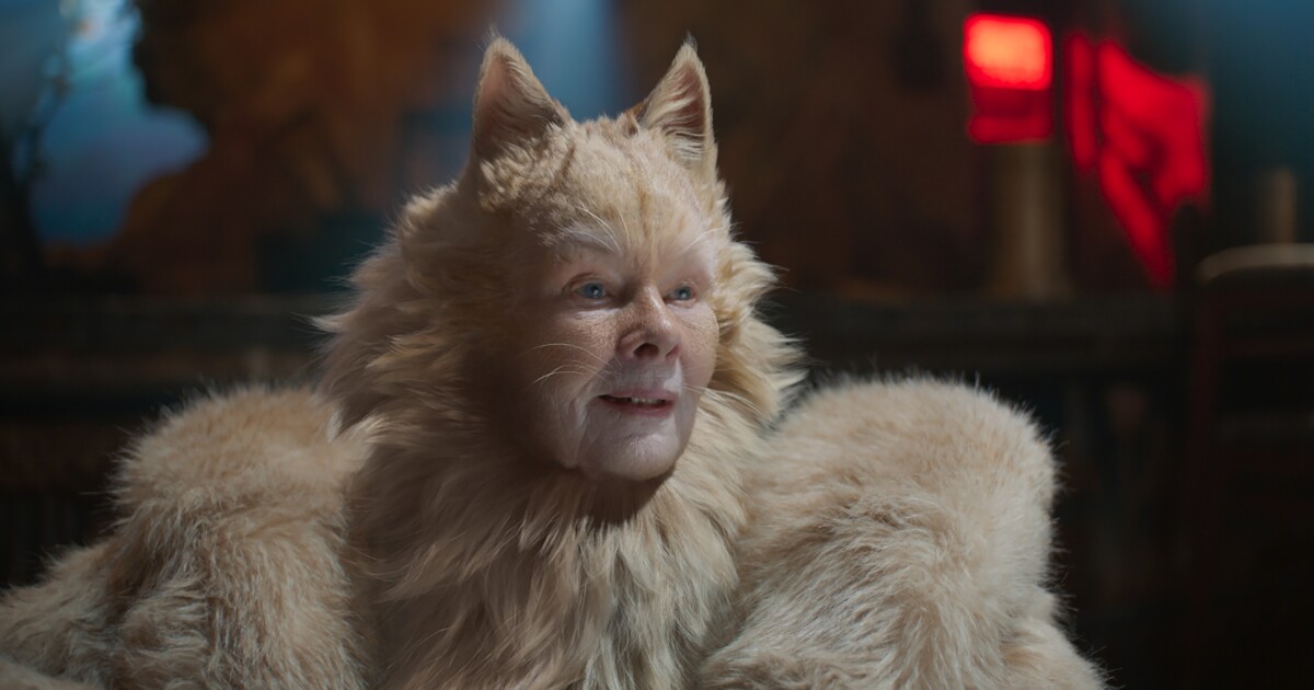Review Cats Is A Horror And An Occasional Hoot The San