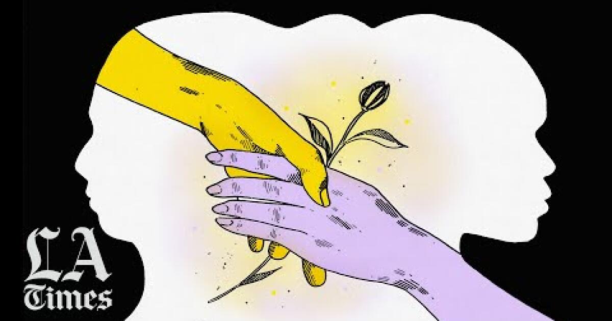 What does asian and black racial solidarity look like?