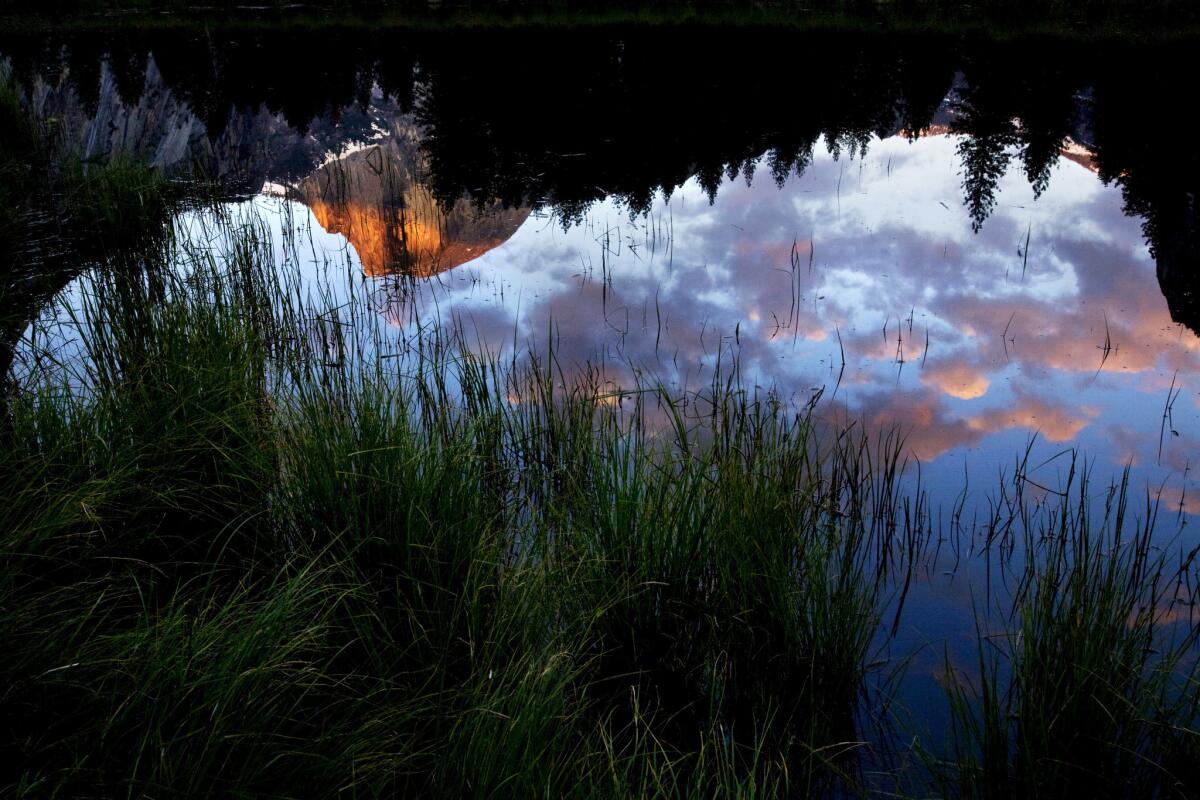 Springtime is celebrated in the Yosemite Valley with tall grasses, colorful sunsets and a reflection of Half Dome in a pool of water in Cook's Meadow.