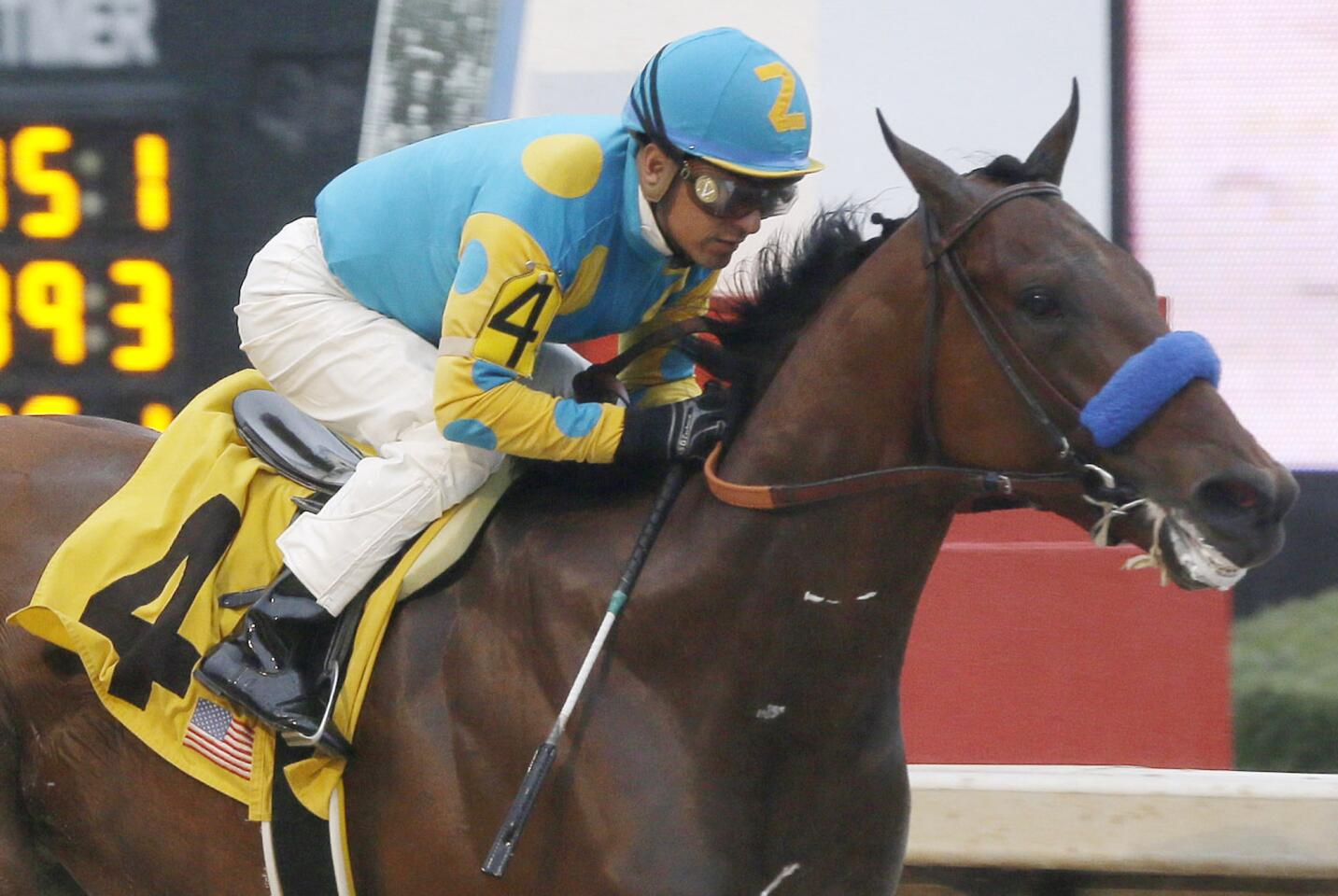 American Pharoah (Bob Baffert, trainer; Victor Espinoza, jockey). The horse had a breathtaking performance to win the Arkansas Derby by eight lengths. He had two overpowering wins at 3 after a 2-year-old championship season followed by an injury. He has won four in a row after finishing fifth in his first career start. Next start: Kentucky Derby. Odds: 5-1.