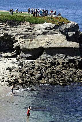 Besides spectacular views of the California coastline, La Jolla Cove offers swimming and tide-pooling opportunities.