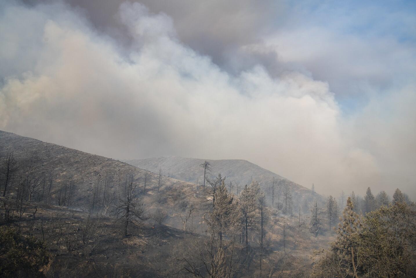 Cranston fire near Idyllwild