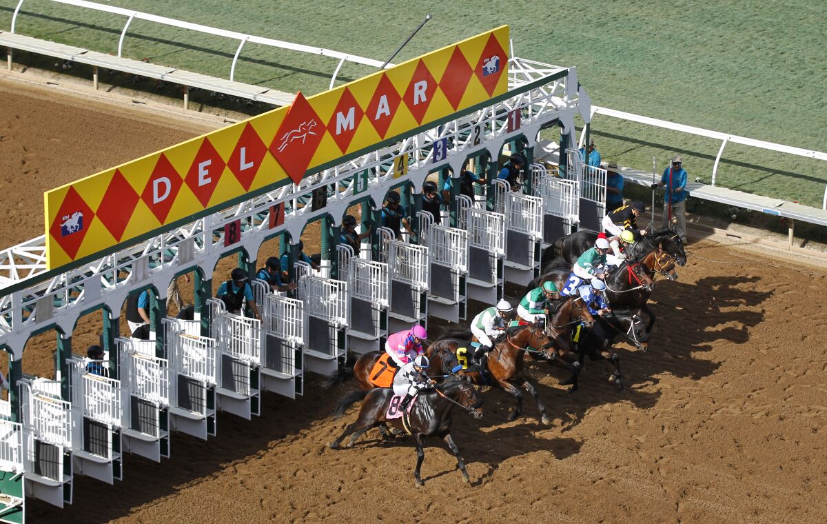 Horses start the first race of the day at the Del Mar Thoroughbred Club on Thursday, Nov. 15, 2018.