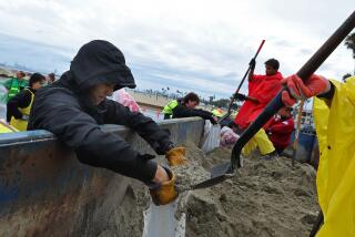 LONG BEACH, CALIFORNIA - AUGUST 20: Volunteers and members of the Long Beach Fire Department fill sandbags at Belmont Shore Beach on August 20, 2023 in Long Beach, California. Southern California is under a first-ever tropical storm warning as Hilary approaches with parts of California, Arizona, and Nevada preparing for flooding and heavy rains. All California state beaches have been closed in San Diego and Orange counties in preparation for the impacts of the storm which was downgraded from hurricane status. (Photo by Justin Sullivan/Getty Images)