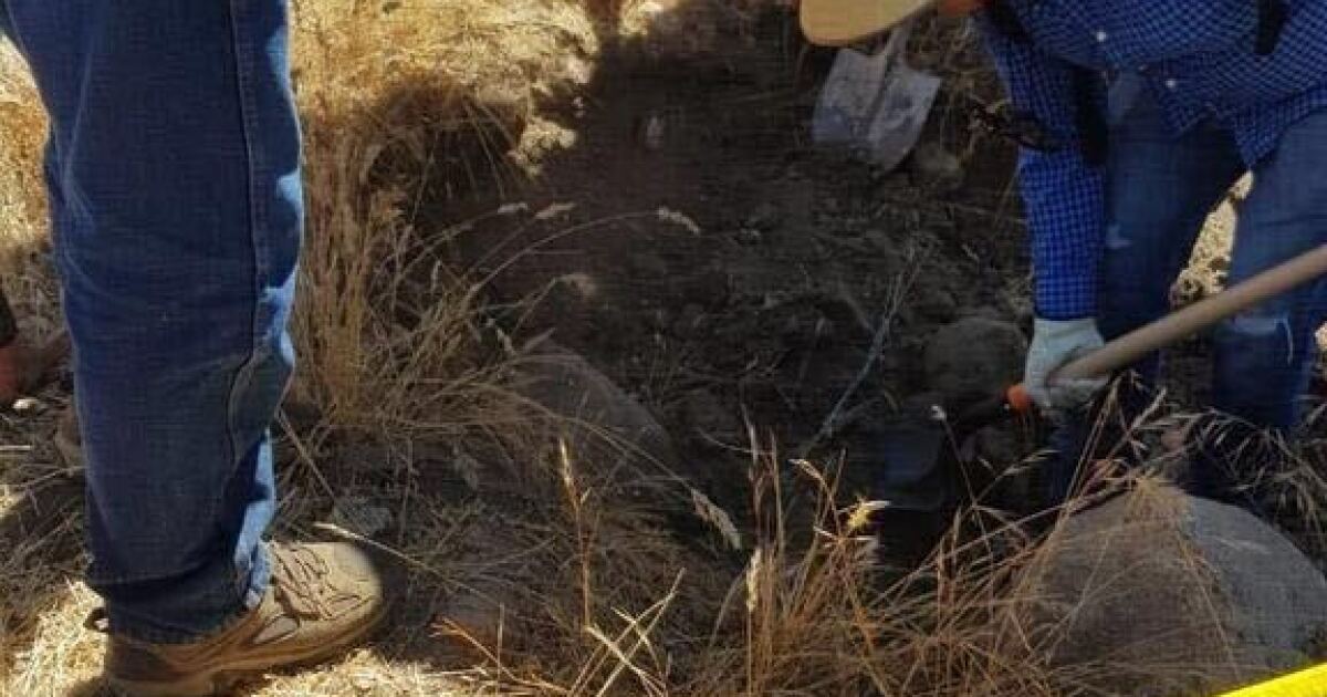 Baja California parent groups find remote grave site with four bodies in Tecate