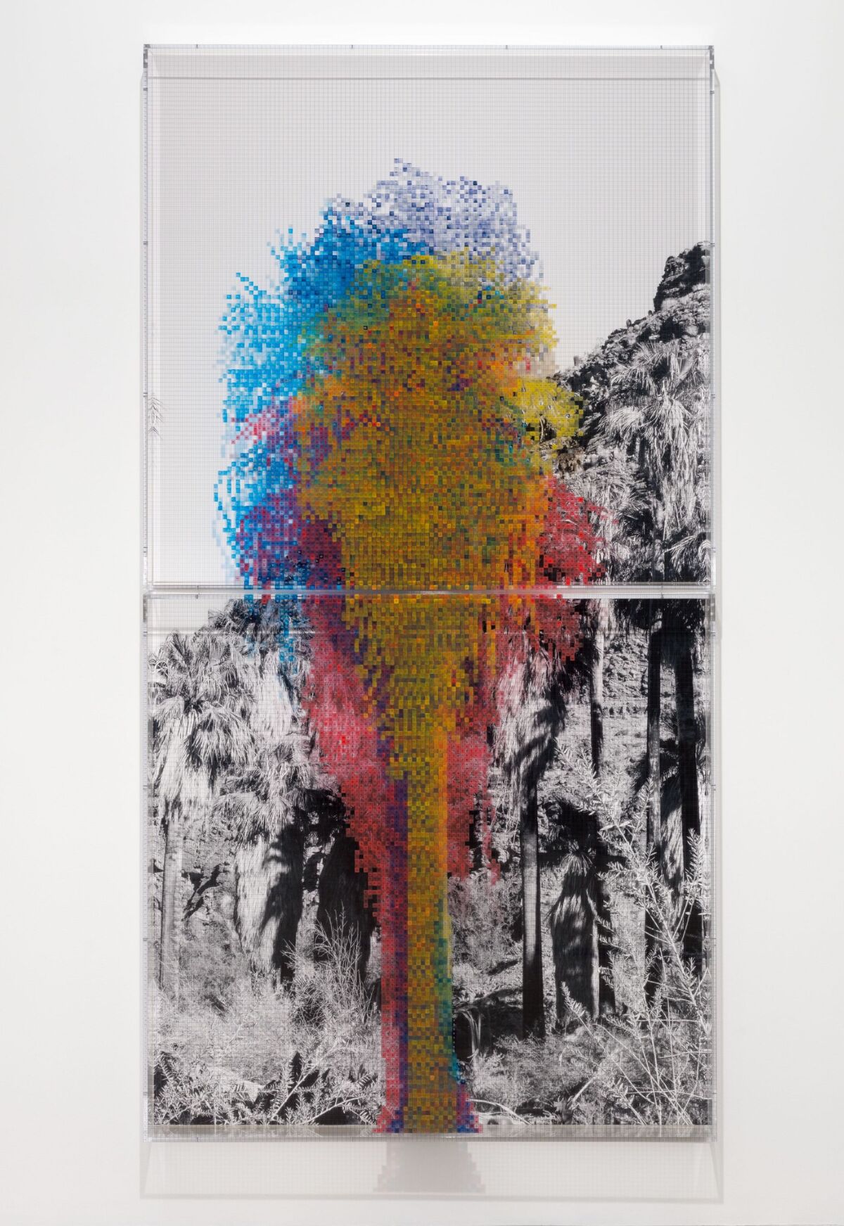 "Numbers and Trees: Palm Canyon Palm Trees Series #2, Tree #4, Kumeyaay," 2019, by Charles Gaines at Hauser & Wirth.