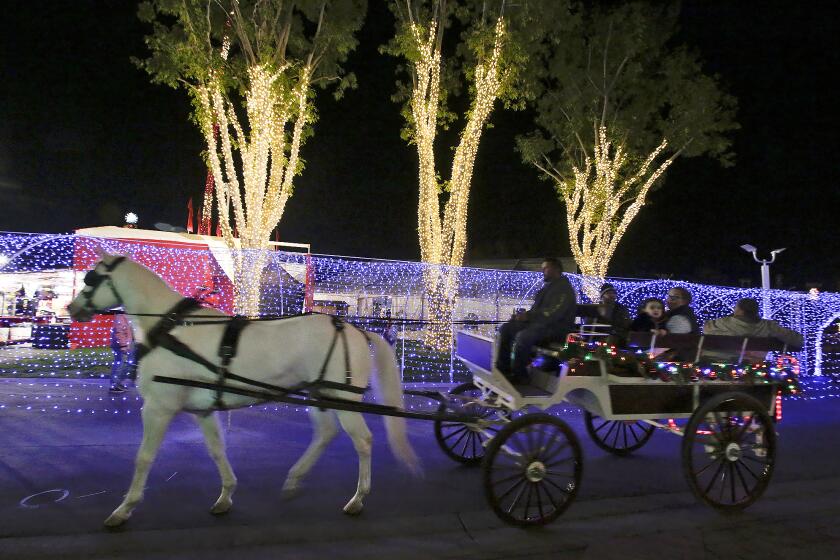 A horse drawn carriage carries guests across the grounds at the Winter Fest OC at the OC Fair & Event Center on Thursday.
