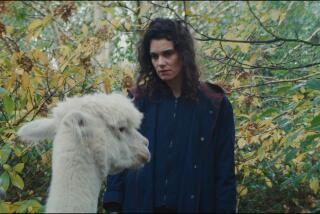 A woman is mystified by the presence of a llama.
