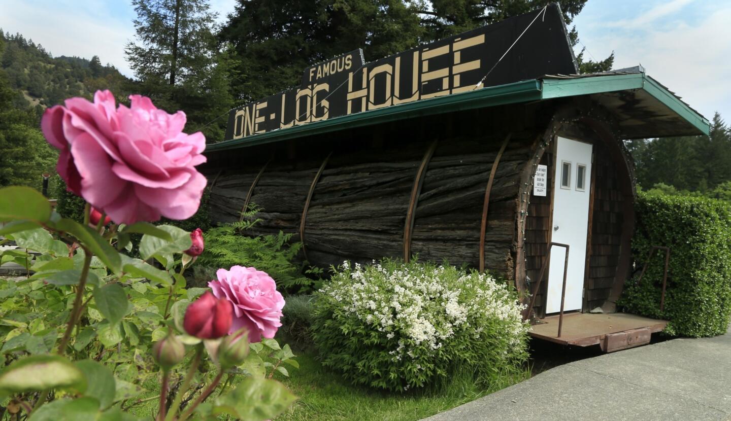 The Famous One-Log House
