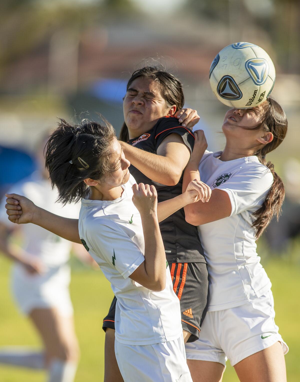 Ocean View High student selected for FC Cologne soccer talent squad - Los  Angeles Times