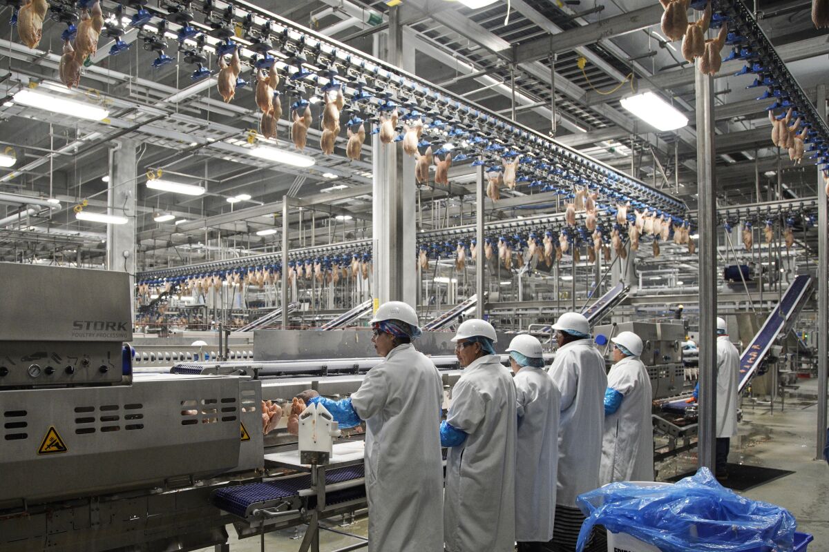 FILE - In this Dec. 12, 2019, file photo workers process chickens at the Lincoln Premium Poultry plant, Costco Wholesale's dedicated poultry supplier, in Fremont, Neb. Rural America continued to lose population in the latest U.S. Census numbers, highlighting an already severe worker shortage in those areas and prompting calls from farm and ranching groups for immigration reform to help alleviate the problem. (AP Photo/Nati Harnik, File)