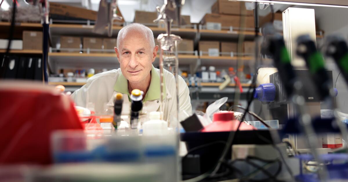 From mice to gym rats: Unregulated use of peptides raises alarm among researchers From mice to gym rats: Unregulated use of peptides raises alarm among researchers
