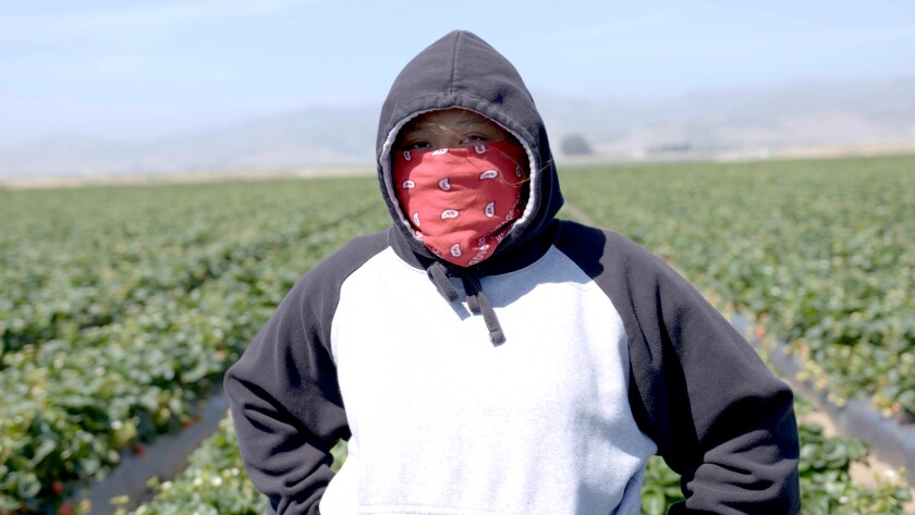 En esta imagen de la película Fruits of Labor, Ashley Pavón aparece en el campo donde trabaja.