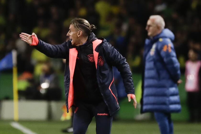 El técnico de Ecuador Sebastián Beccacece durante el partido contra Brasil por las eliminatorias del Mundial, el viernes 6 de septiembre de 2024, en Curitiba. (AP Foto/Bruna Prado)