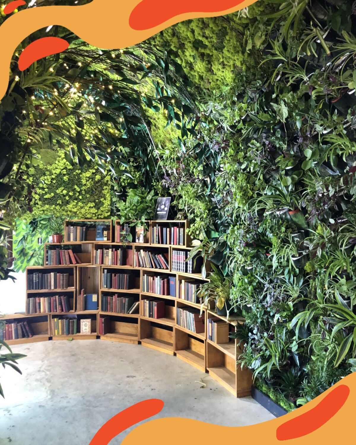 A plant wall looms over bookshelves at Lost Books in Montrose.