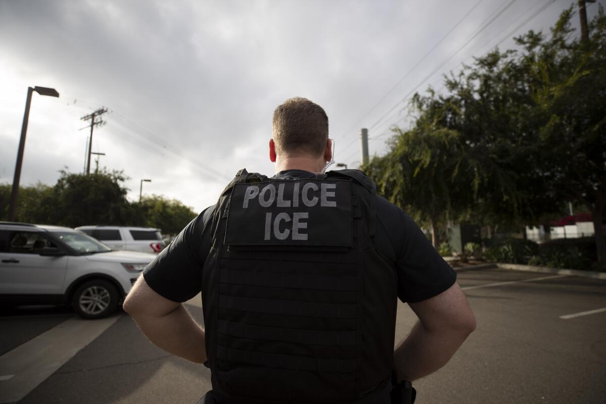 The back of a person wearing a police vest.