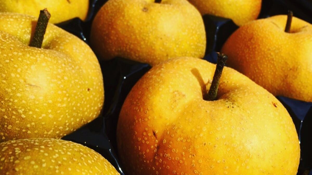 Kosui Asian pears spotted at the Santa Monica farmers market in early August.