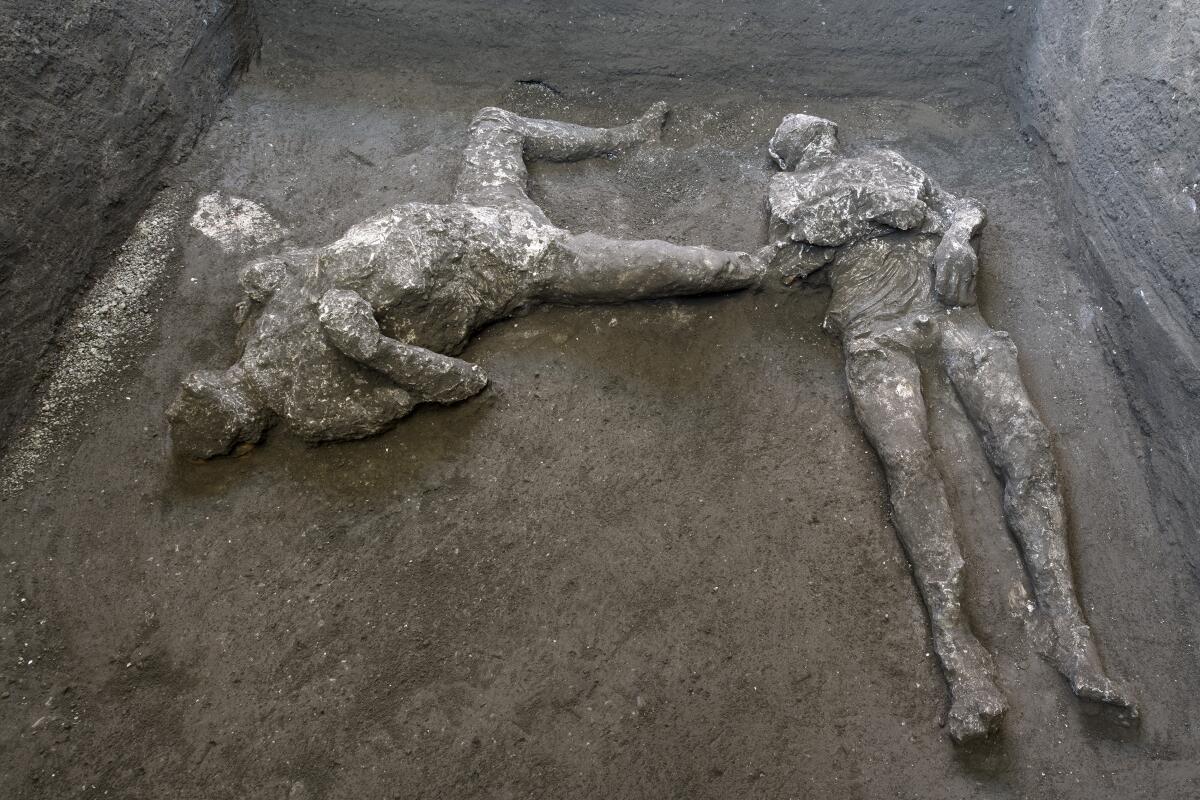 The casts of what are believed to have been a rich man and a man he enslaved fleeing the volcanic eruption of Vesuvius. 