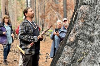 Leader of the Calaveras band of Mi-Wuk Indians Adam Lewis sang Native songs and prayed for The Orphans' survival Sunday, June 11, 2023 at Calaveras Big Trees State Park.