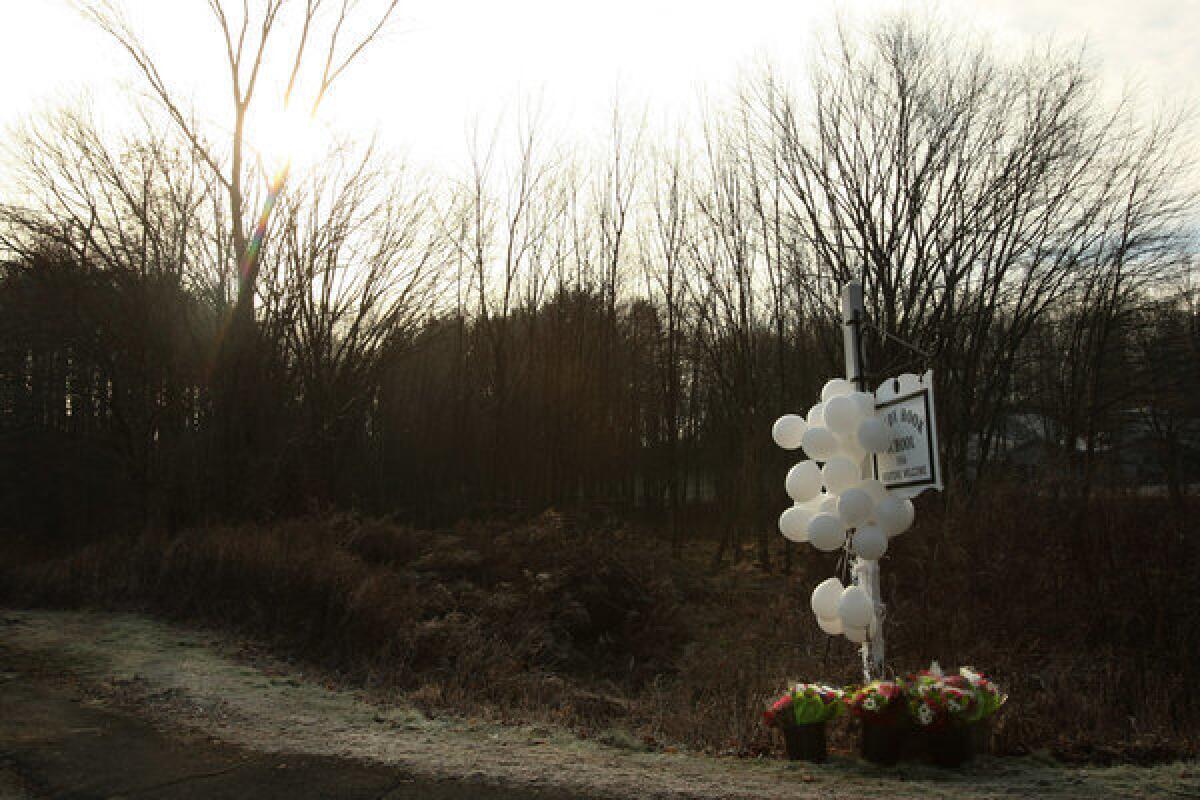 Balloons and flowers are left as a memorial on a road that leads to the Sandy Hook Elementary School, where a gunman opened fire on children and staff members.