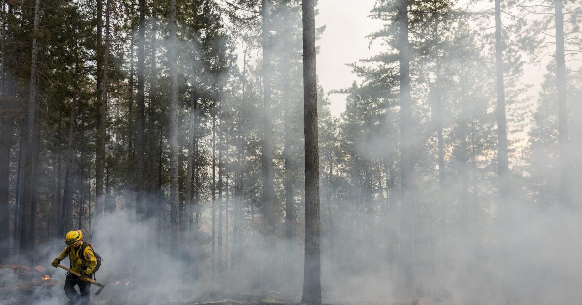 Crews make progress as massive Park fire swells beyond 350,000 acres